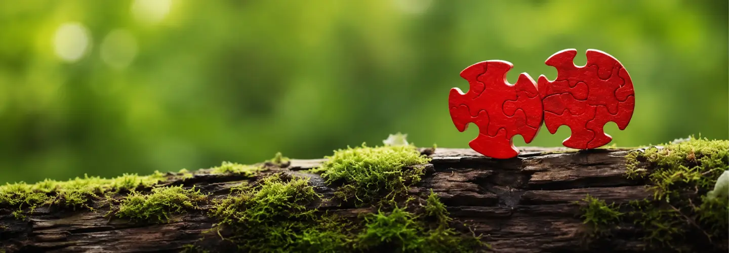 Deriving core values that help the organization to sustain & scale