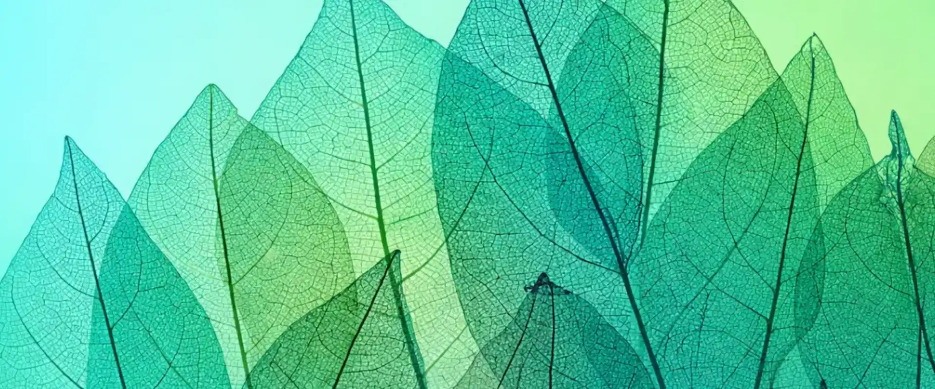 Scope 3 sustainability engineering