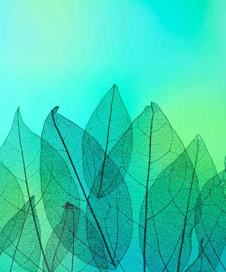 Scope 3 sustainability engineering